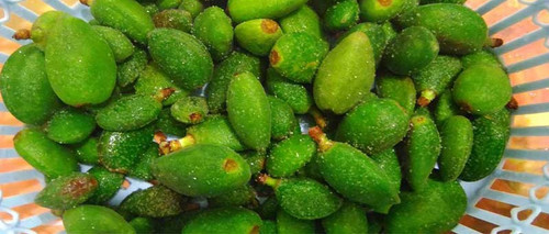 بادام بهاری تازه رسیده اما مغز ابدار