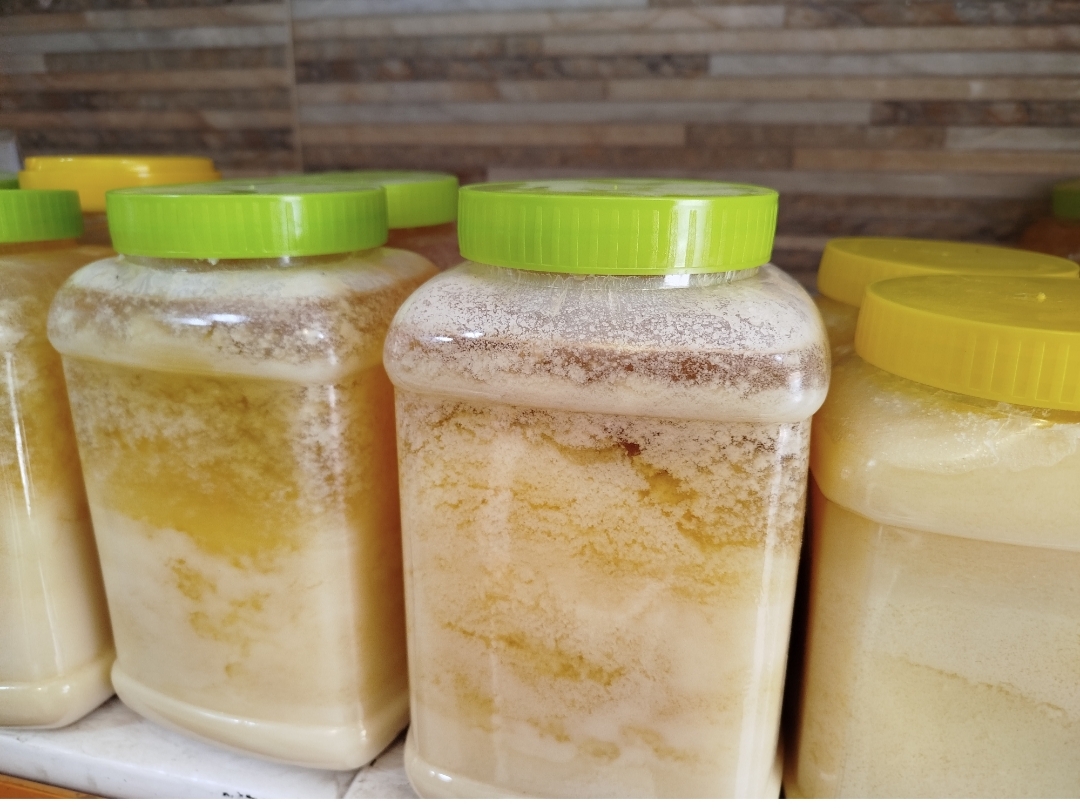 تصویر روغن زرد صد در صد گاوی اورگانیک - ۱لیتری 