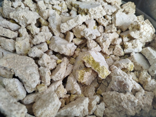 کشک گوسفندی