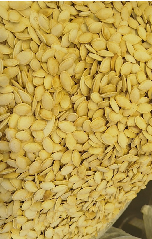 تخمه کدو گوشتی شور لوکس