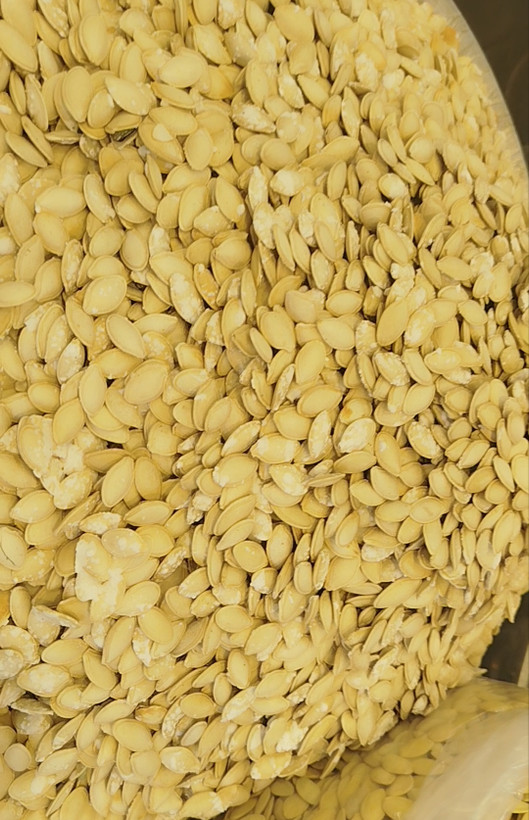 تخمه کدو گوشتی شور لوکس