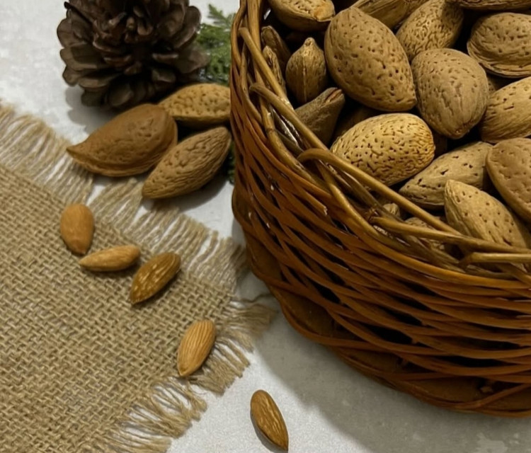 بادام سنگی لوکس