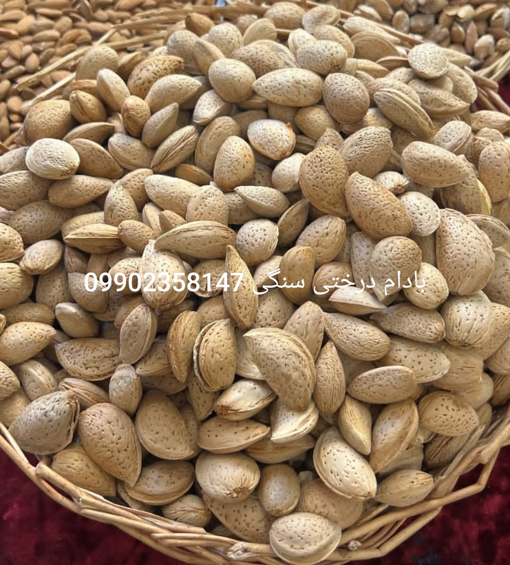 بادام سنگی لوکس