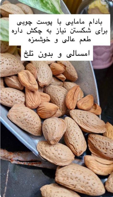 بادام سنگی لوکس